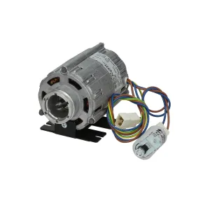 208/240V Clamp Flange Rotary Vane Pump Motor (Special Order Item)