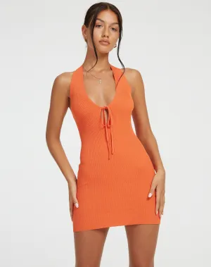 Mogi Mini Dress in Orange